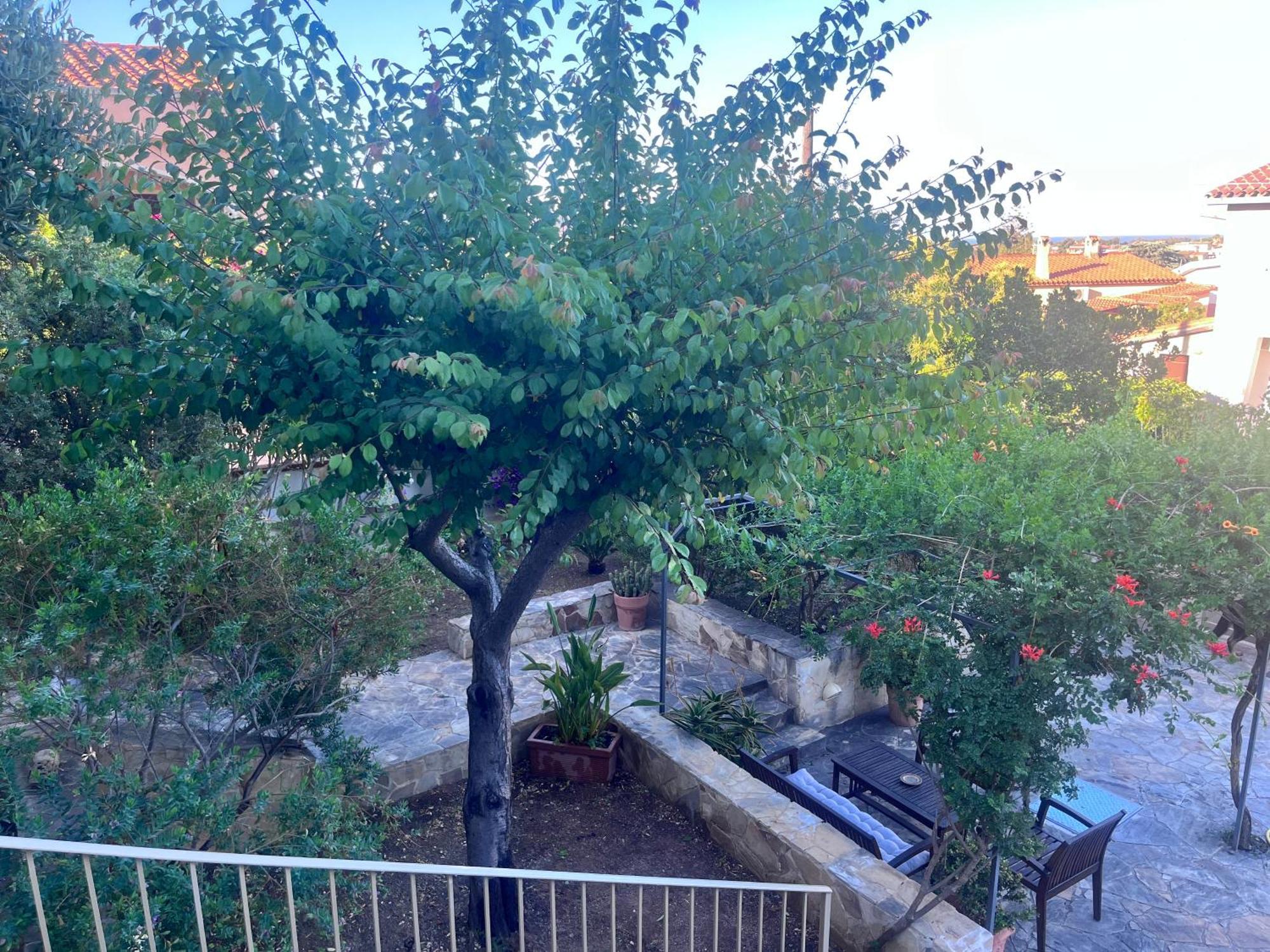 Villa Fatta Di Sogni Pula Ngoại thất bức ảnh